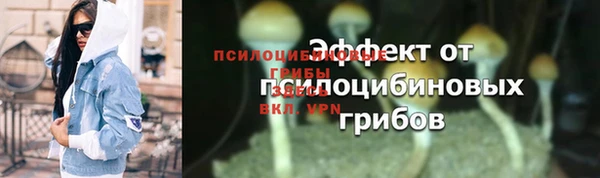 ГАЛЛЮЦИНОГЕННЫЕ ГРИБЫ Бронницы