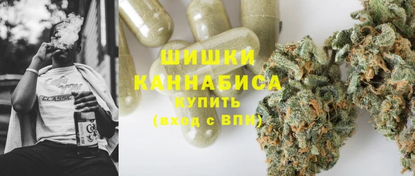 сатива Богданович